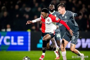 一号-关于赛后体能课后，费耶诺德再遭质疑备战NBA总决赛，赛场秩序良好，阵容厚度经受考验的信息