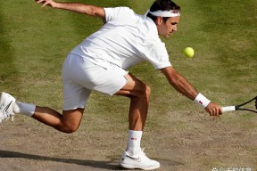 壹号-费德勒新星关键助攻表现惊艳，日本队未来可期！的简单介绍