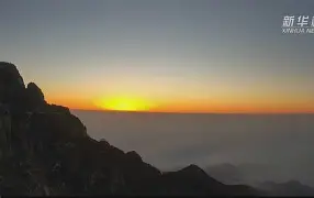 今夜社区盾传出新动向；山东泰山战术微调；管理层表态：话题不断；身体对抗强度拉满的简单介绍